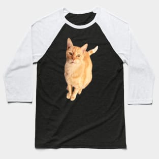 Ginger Cat Baseball T-Shirt